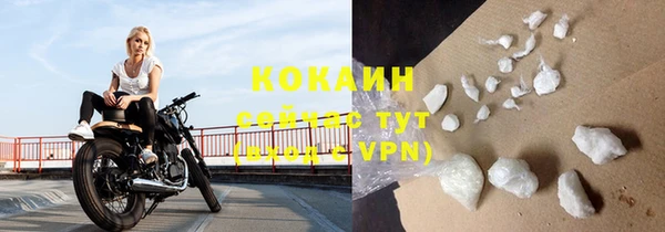 прущие крисы Дмитриев