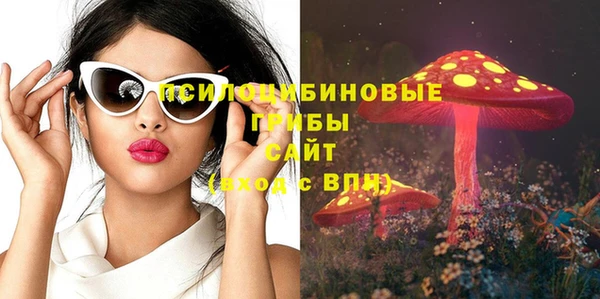 молекула духа Гусь-Хрустальный