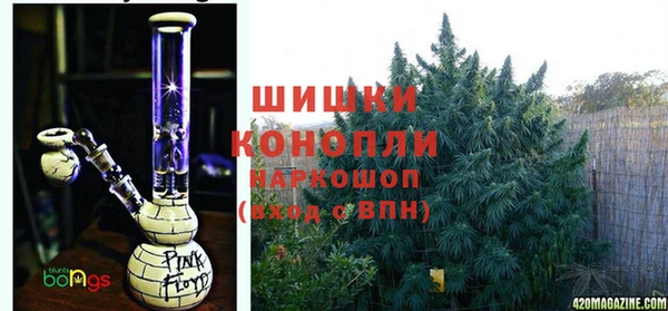 молекула духа Гусь-Хрустальный